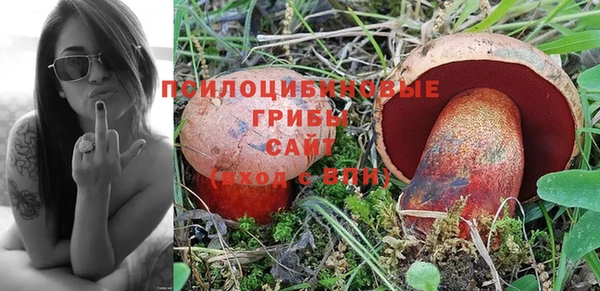 спайс Аркадак