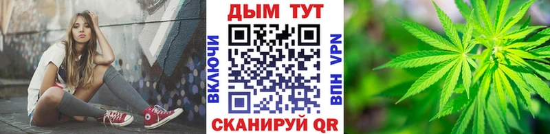 Бошки марихуана план  хочу наркоту  Черняховск 